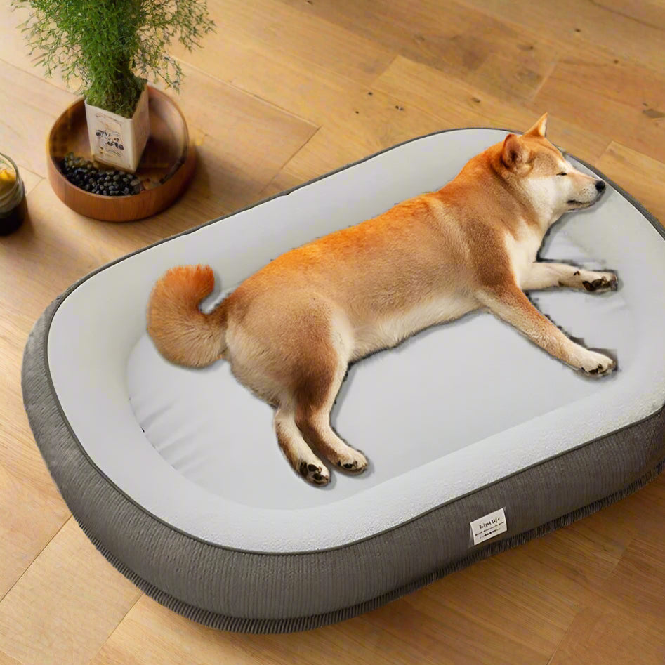 Dog lying on a large pet bed in a room with wooden flooring.