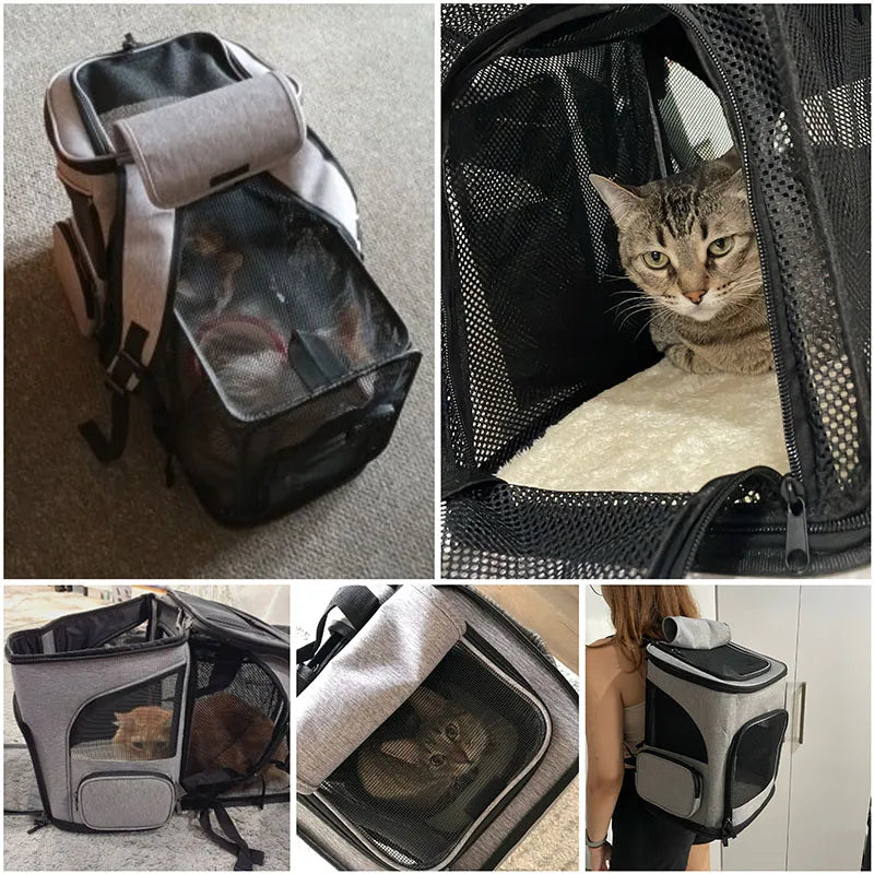 Cat Carrier Backpack – Foldable, Expandable & Travel-Ready for Pets