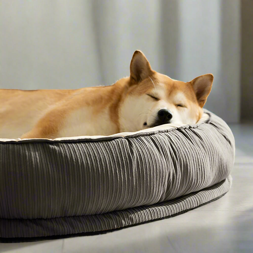 Memory Foam Dog Bed – Soft, Warm & Washable Sleeping Mat for Dogs