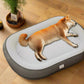 Dog lying on a large pet bed in a room with wooden flooring.