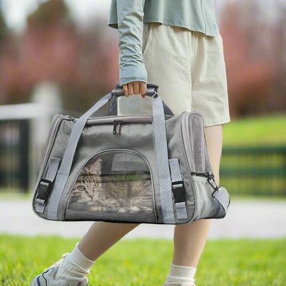 Person holding a gray pet carrier with a cat inside, outdoors.