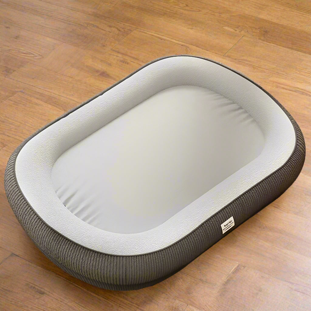 dog bed